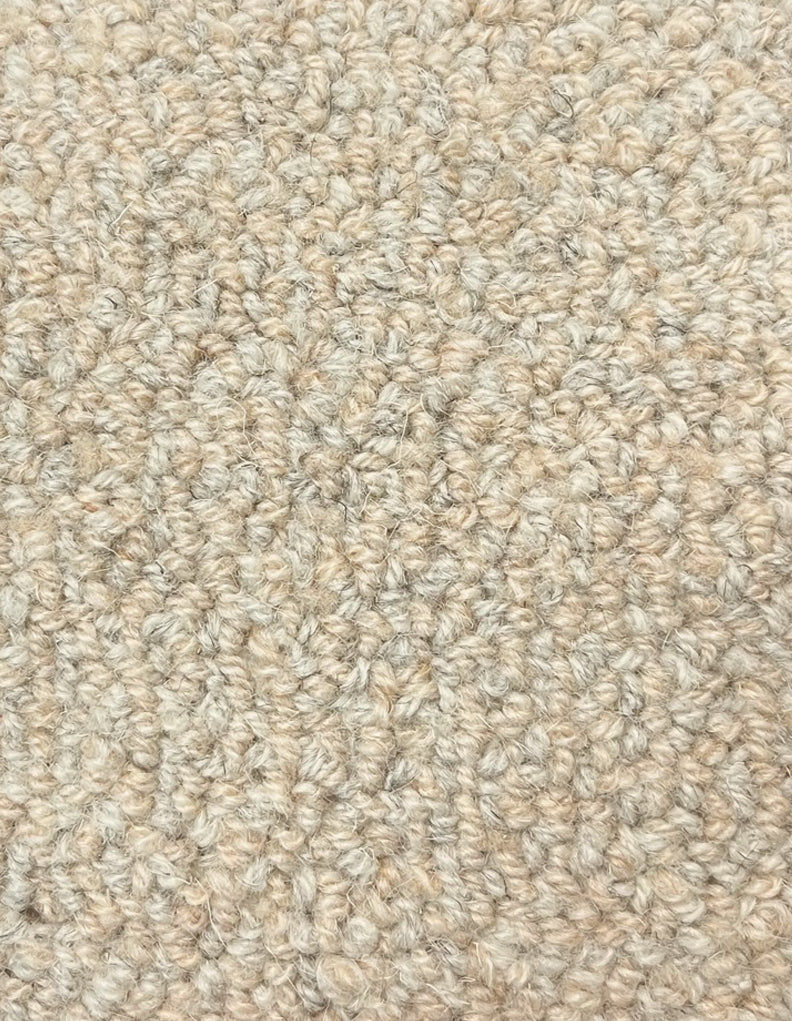 Talesin 12'x19' New Zealand wool loop carpet in color Morona Terrace