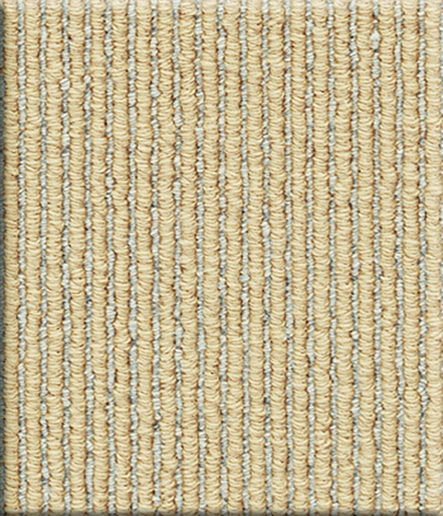 Aria 12'x98' New Zealand wool loop carpet in color Babouche