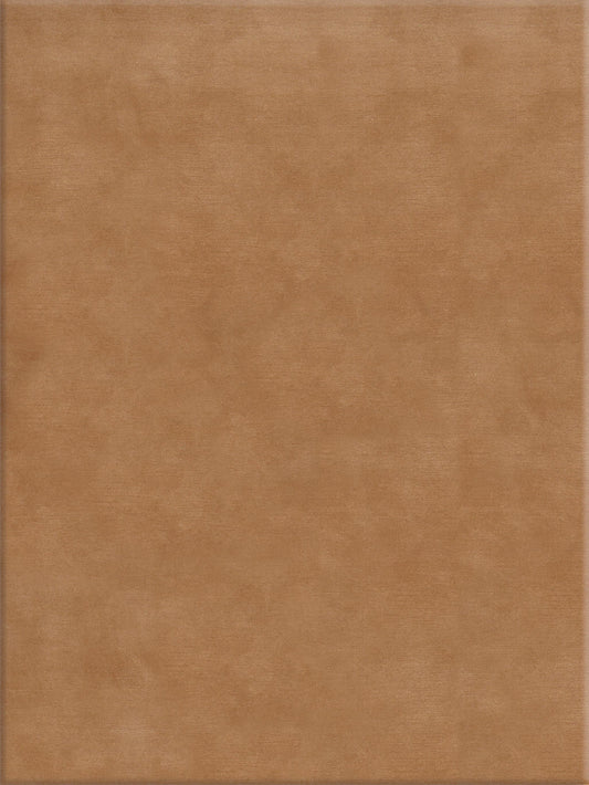 Palma area rug  3'x5' in 100% New Zealand wool color Barley