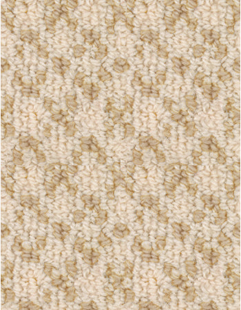 Mist 12'x11'New Zealand wool loop carpet in color Beachside