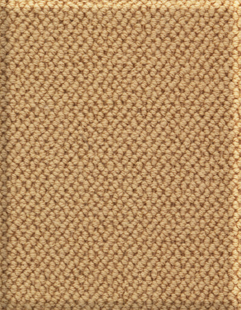 Boucle 12'x27' New Zealand wool loop carpet in color Caramel