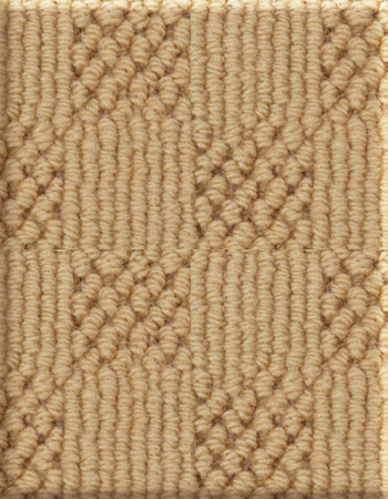 Shadoweave 12'x24' New Zealand wool loop carpet in color Caramel
