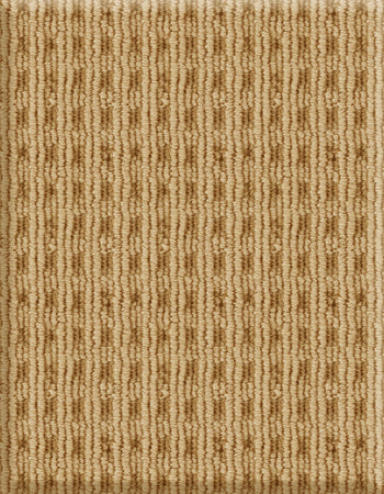 Pocketweave 12'x8' New Zealand wool loop carpet in color Caramel
