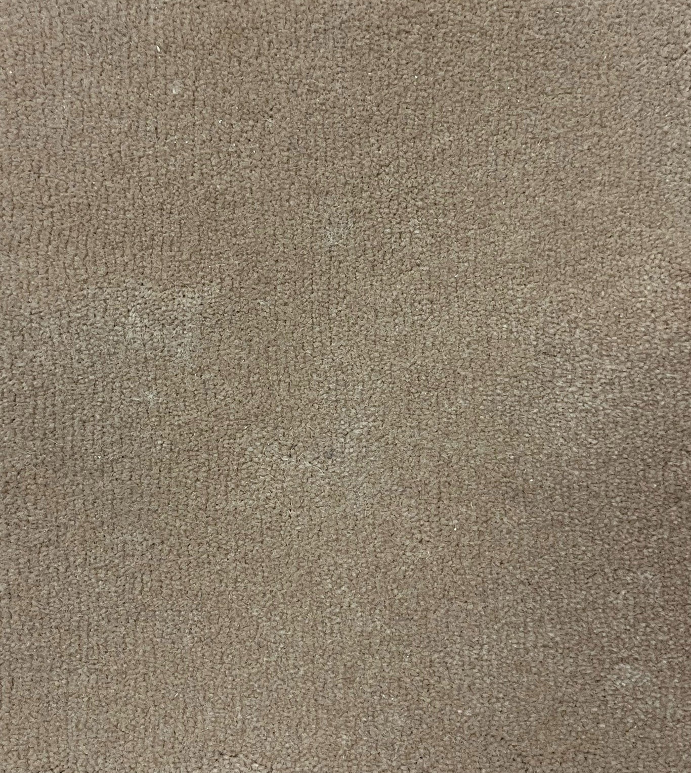 Cut pile 12'x12' in 100% New Zealand wool color Petroskey Stone