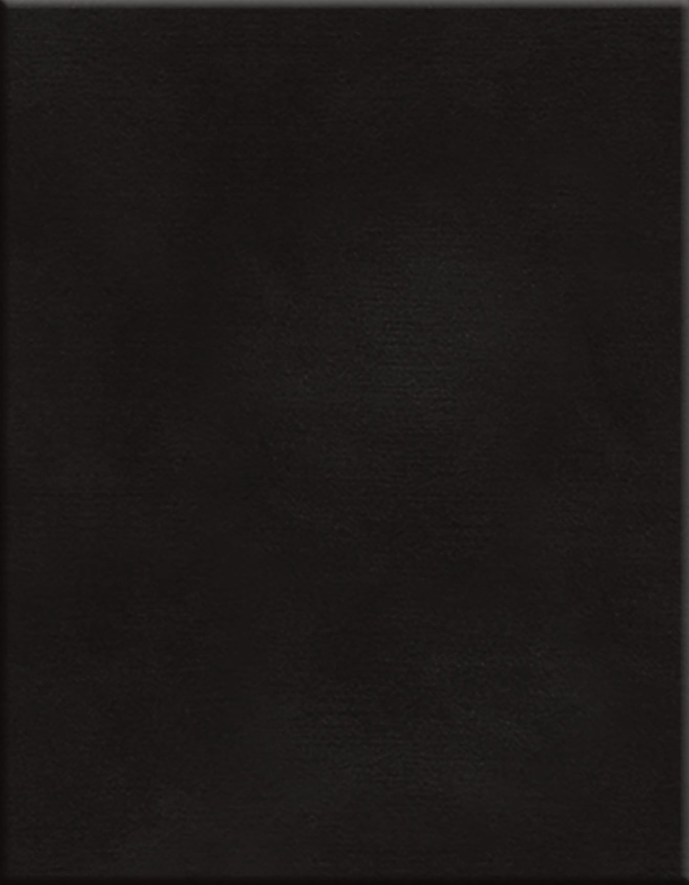 Cut pile 12'x22'6" in 100% New Zealand wool color Domino