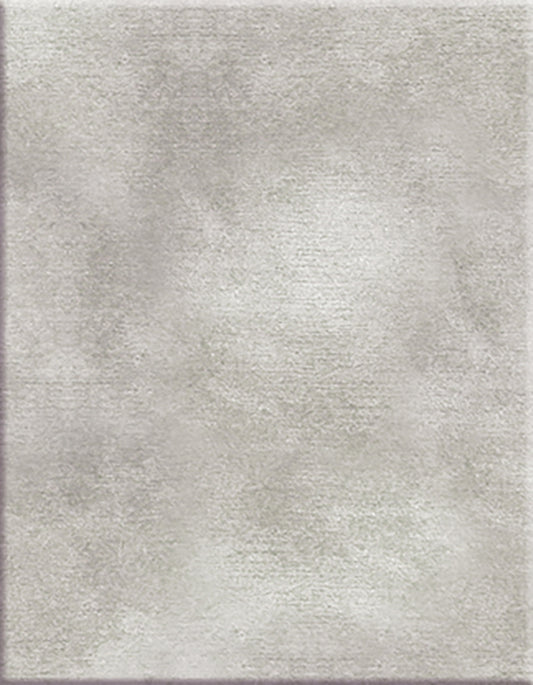 St. Moritz 12'x1o''in 100% Halo high luster 66 nylon color Grey Wisp