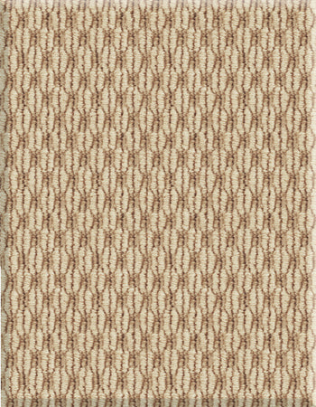 Sisalweave 12'x9' New Zealand wool loop carpet in color Hazelnut