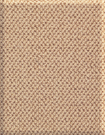 Boucle 12'x8' New Zealand wool loop carpet in color Honey Beige