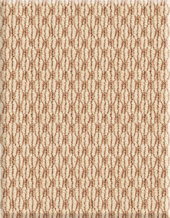 Sisalweave 12'x17' New Zealand wool loop carpet in color Honey Beige