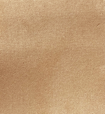 Palma 12'x5'New Zealand wool cut carpet in color Custom Tan