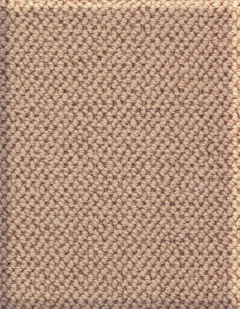 Boucle 12'x159' New Zealand wool loop carpet in color Pecan