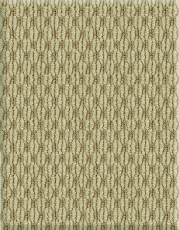 Sisalweave 12'x55' New Zealand wool loop carpet in color Sage