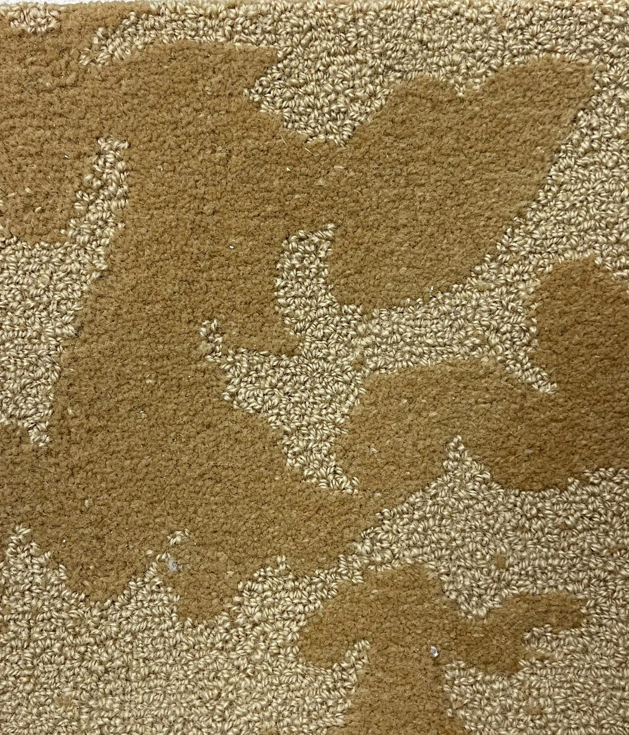 SI-166 12'x41' New Zealand wool loop carpet in color hazelnut