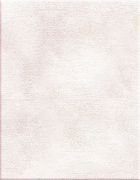 St. Moritz 12'x9'6"'in 100% Halo high luster 66 nylon color Snow White