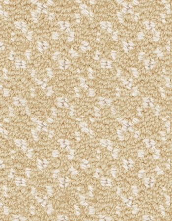 Mist 12'x13.5' New Zealand wool loop carpet in color Sunburst