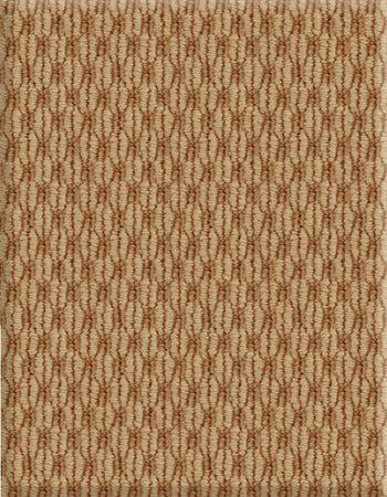 Sisalweave 12'x53' New Zealand wool loop carpet in color Teastain