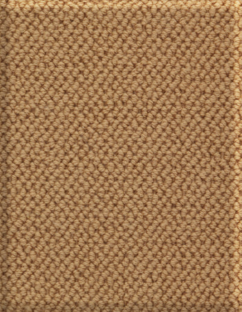 Boucle 12'x24' New Zealand wool loop carpet in color Teastain